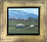 Sheep - original