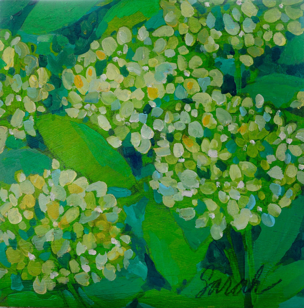 Hydrangeas - print