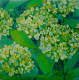Hydrangeas - print