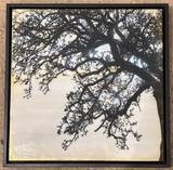 Peeking - original