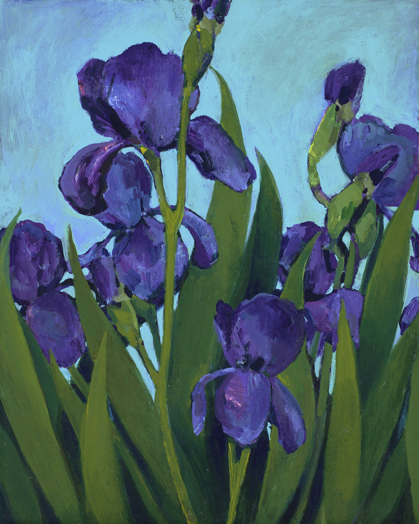 Iris - giclee