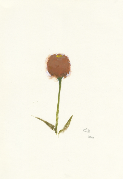 Zinnia Study 2 - original