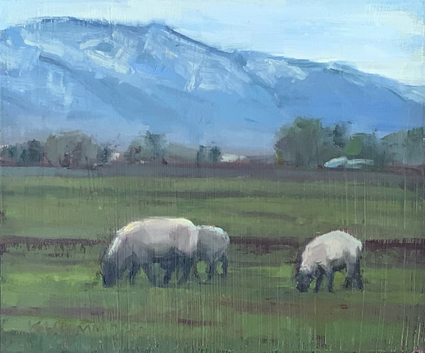 Sheep - original