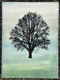 Calm and Light- original