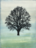 Calm and Light- original